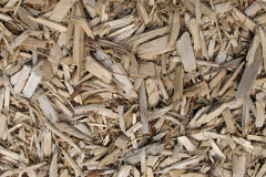 biomass boilers Lavrean